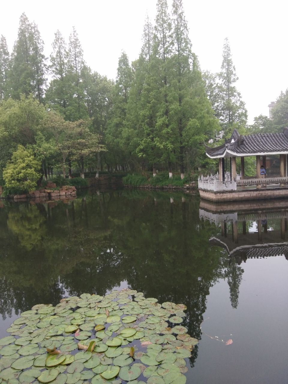 雨天的环碧公园