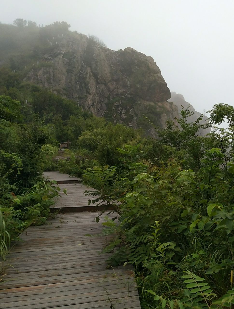 雨后的黄山寨,如梦如幻,恍若仙境. - 庐江杂谈 - 魅力