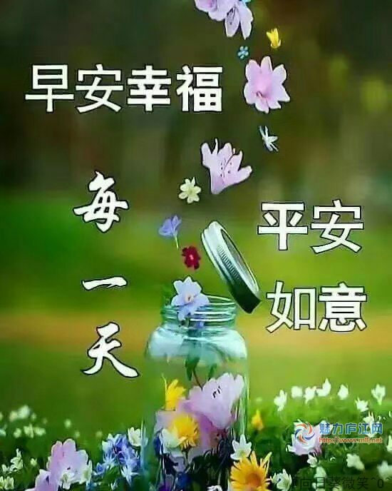 早安