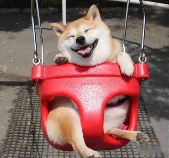 cdn.sohucs.com_images_20200504_7149d880579c410d994941e3e385d74d.