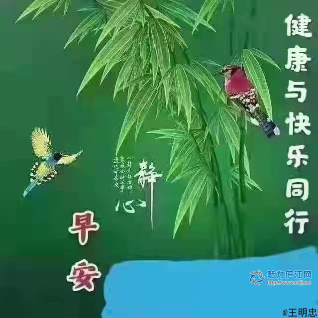 夏意濃,情如風, 友誼牽掛在心中; 問候輕輕的送, 夏季天熱多保重