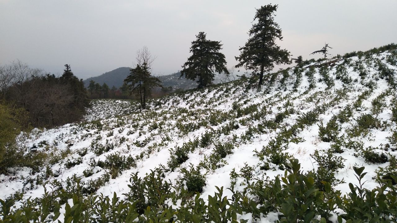 柯坦有座龙池山山上有口龙王井