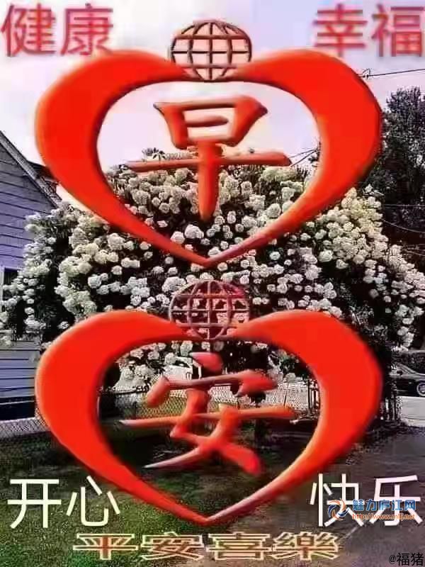 来自福猪的魅友圈