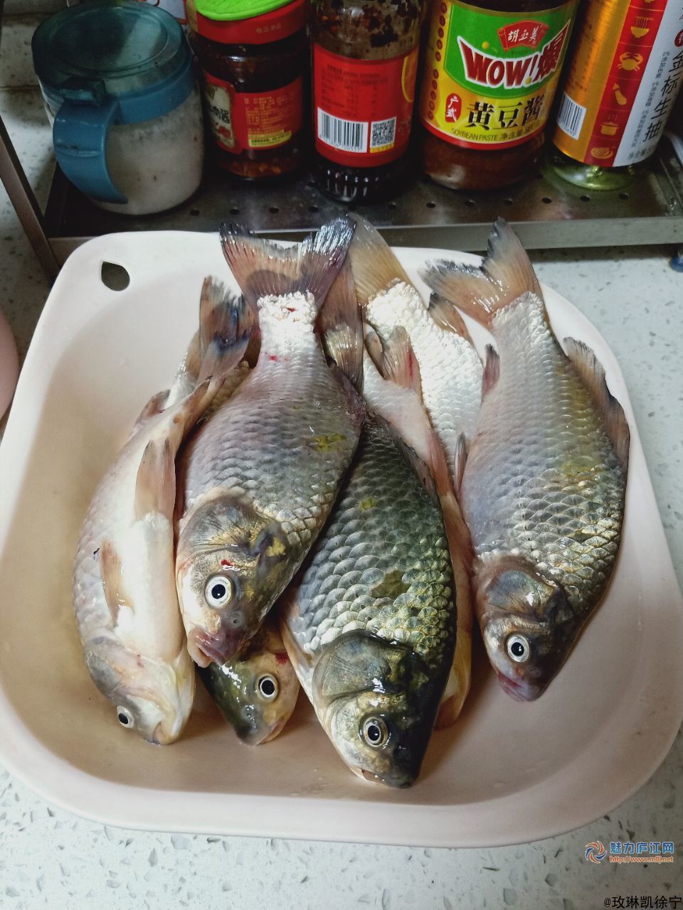 儿子下午和老姑爷出去钓的鱼,八条鱼收拾了好久,脚后跟