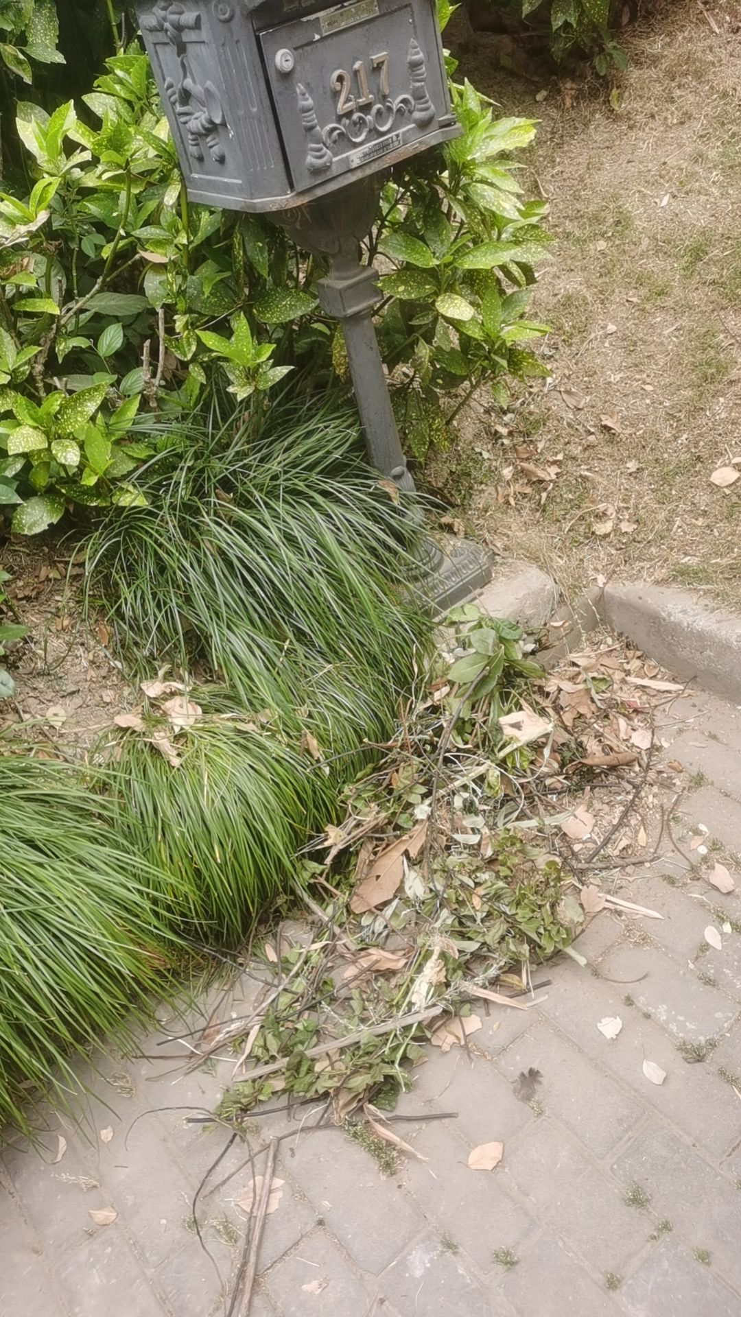 哪位朋友知道，庐江县龙桥镇梅林村枣东村民组安置在梅林新村一期还是二期？