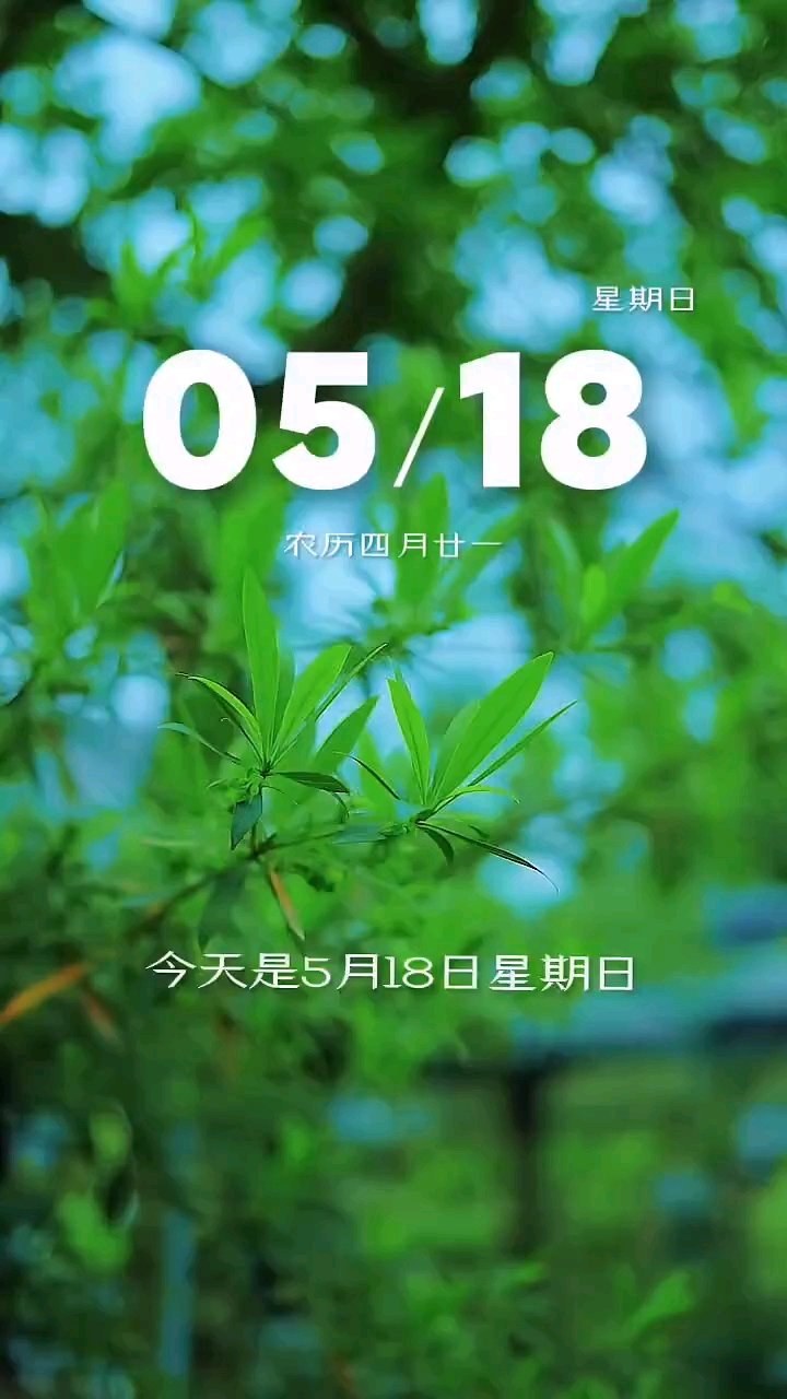今天是5月18日，星期日，早安，人人都有苦衷，事事都有无奈，不要羡慕别人的辉煌，也不要嘲笑别人的不幸。晨起暮落是日子，奔波忙碌才是生活。