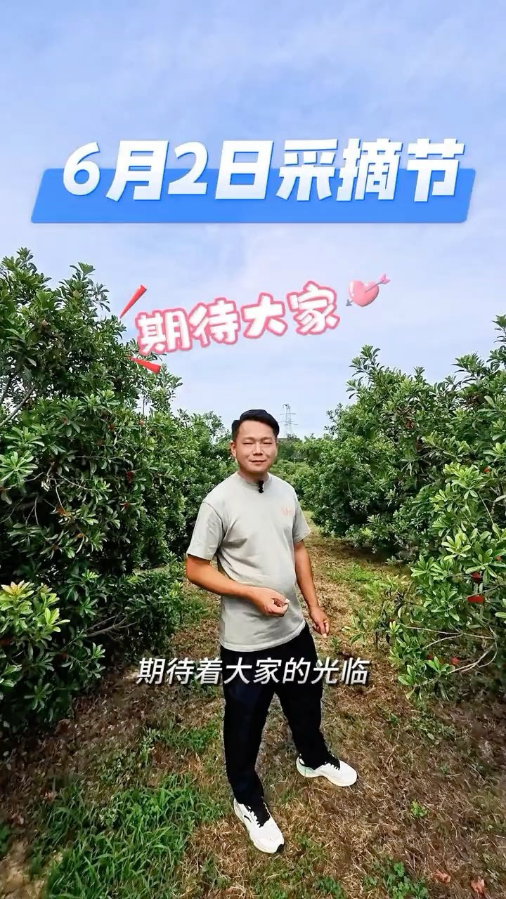 6.2号杨梅采摘节欢迎大家的到来