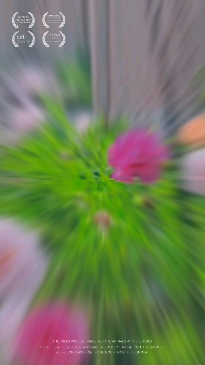 好不好看嘛#晒晒我拍的花花草草#