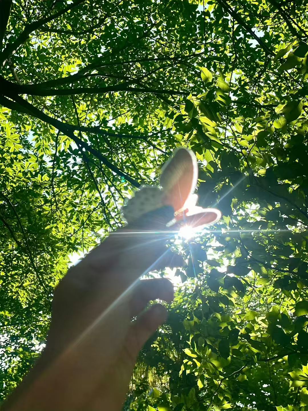 如果有幸被人看穿脆弱，我一定好好撒个娇。