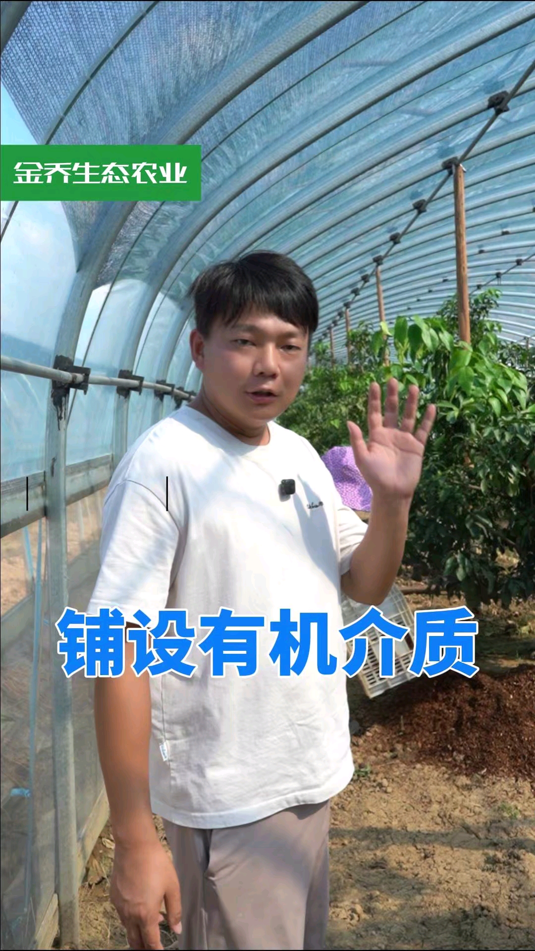 铺设有机介质