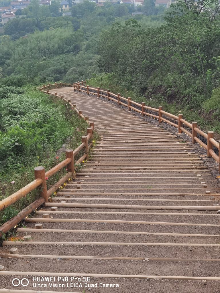 美丽的庐江