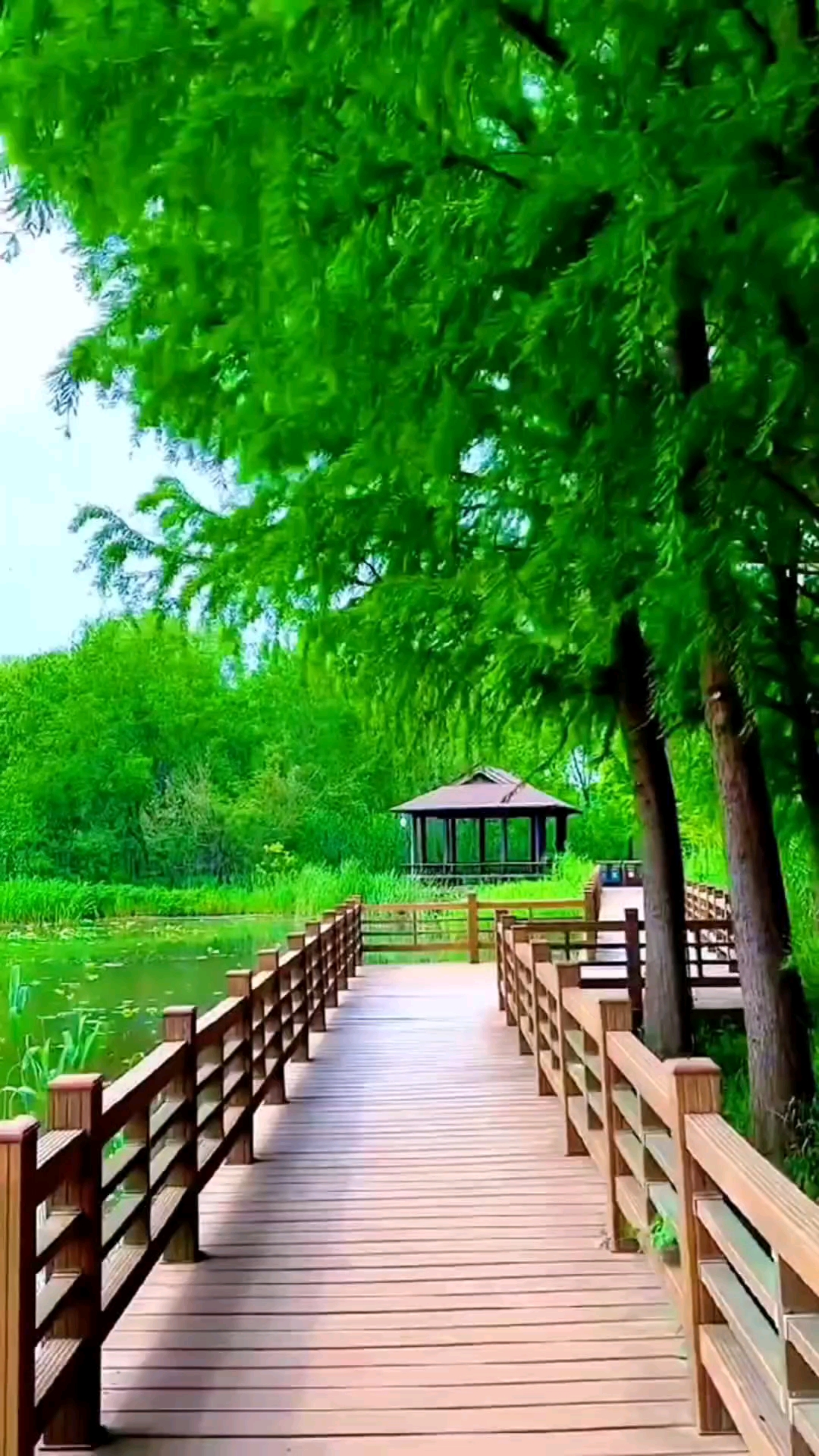 今天是7月11日星期五，农历六月十七，早安！人这一辈子，别比钱多钱少，无病无灾就好，只要没病没灾，钱可以慢慢挣，挣多挣少不重要，有多大的能力，就挣多大的钱，不要和别人比生活，日子只要过的舒心就好，平安健康，比什么都重要！