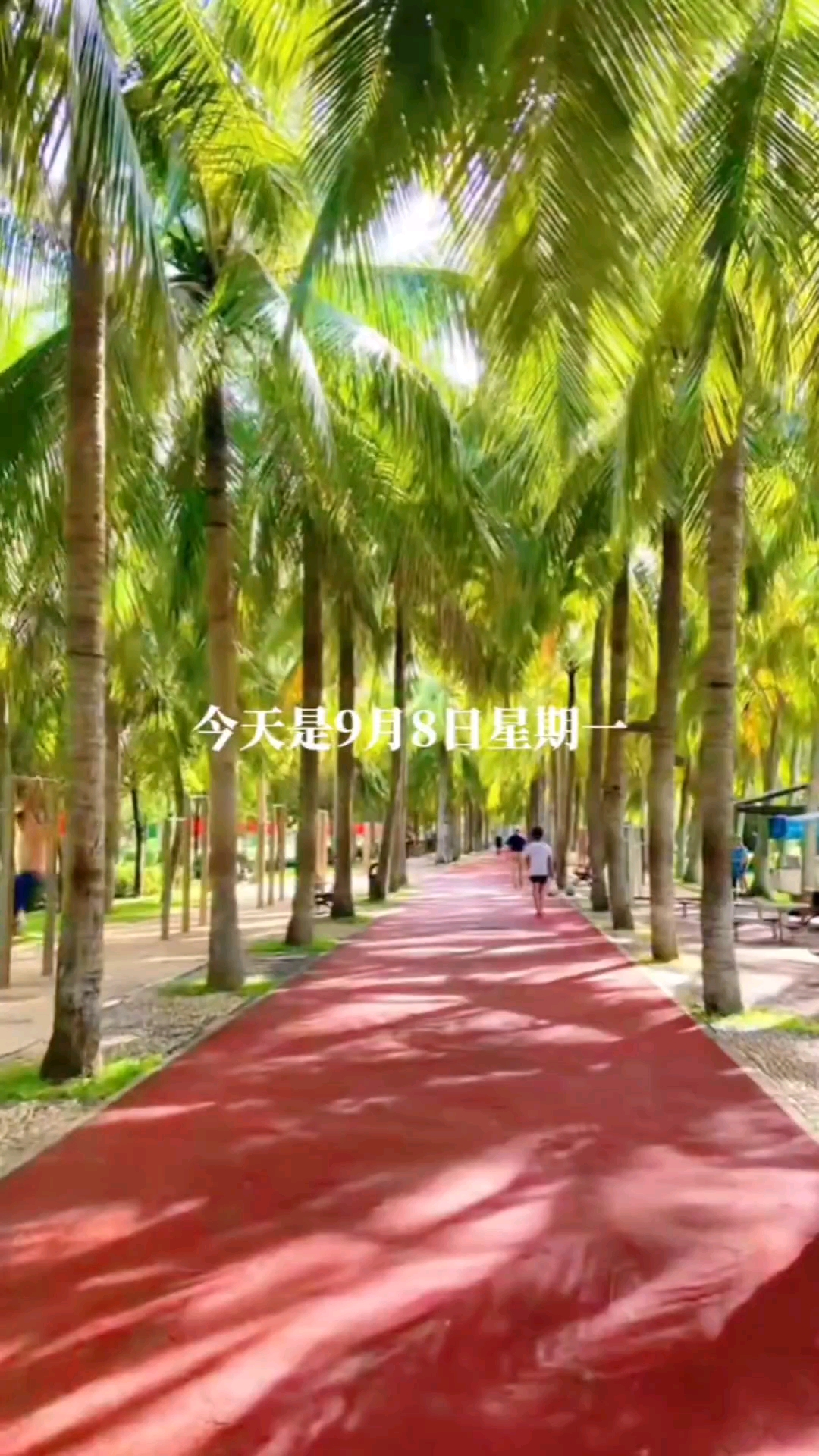 今天是9月8日星期一，农历七月十七，早安！最美的七个祝福送给你，一祝你身体健康，二祝你心想事成，三祝你财源滚滚，四祝你工作顺利，五祝你吉祥如意，六祝你一帆风顺，七祝你好运连连！