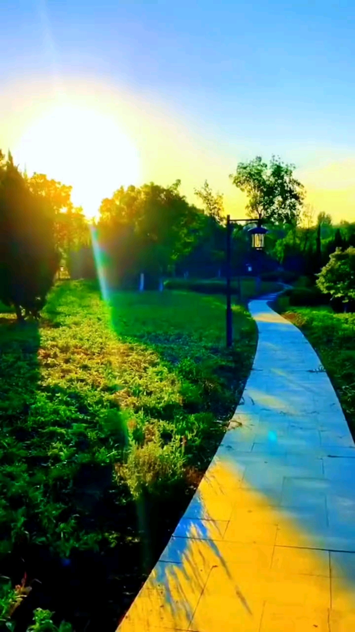今天是9月11日星期四，也是一心一意吉祥日，早安！最美的祝福送给你，愿你一生一世无忧愁，一朝一夕都甜蜜，一年一度都欢喜，幸福每一天，快乐每一秒，愿我爱的人和爱我的人，平安喜乐，万事胜意，无病无灾！