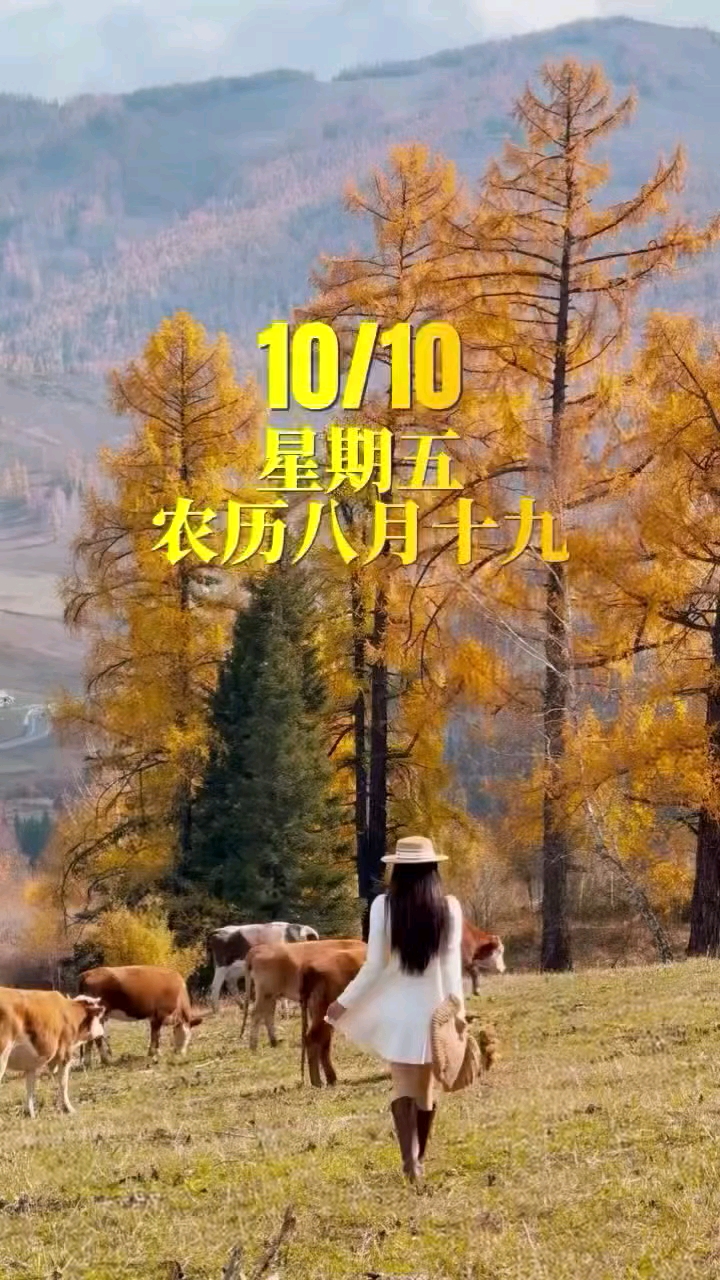 今天是10月10日，星期五。农历八月十九，早安。新的一天，向着幸福出发。愿你眼里有星辰，心中有暖阳。愿你这个秋季生活，随心所欲，凡事顺心如意。往后的每一天，听到的都是好消息，收到的都是好心情，加油！