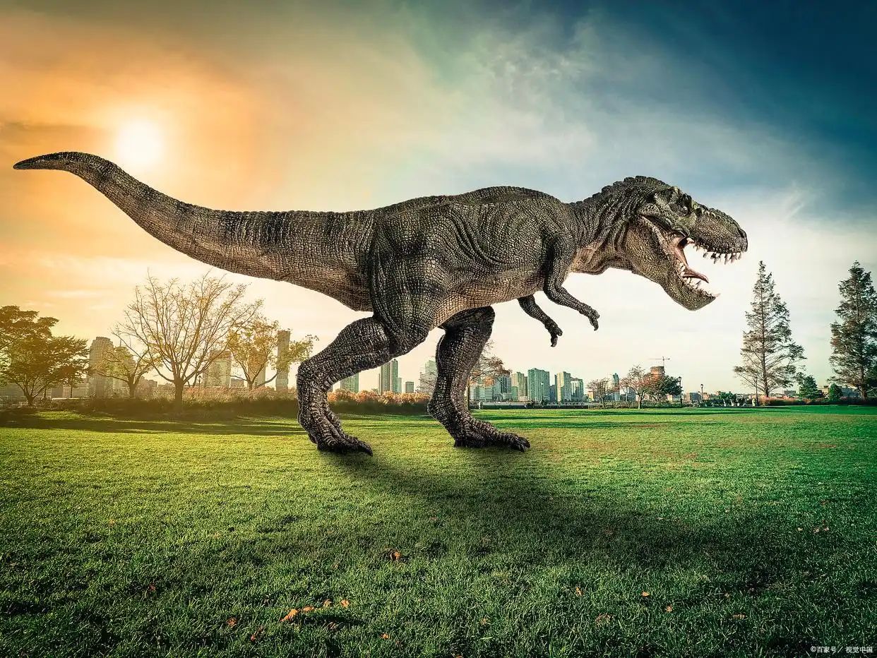 #魅力庐江APP魅友圈#