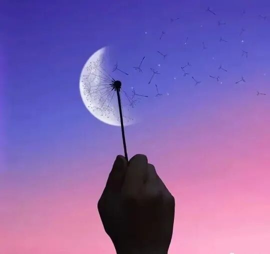 独处是为了不陪他人演戏，不争是为了放过自己的内心。