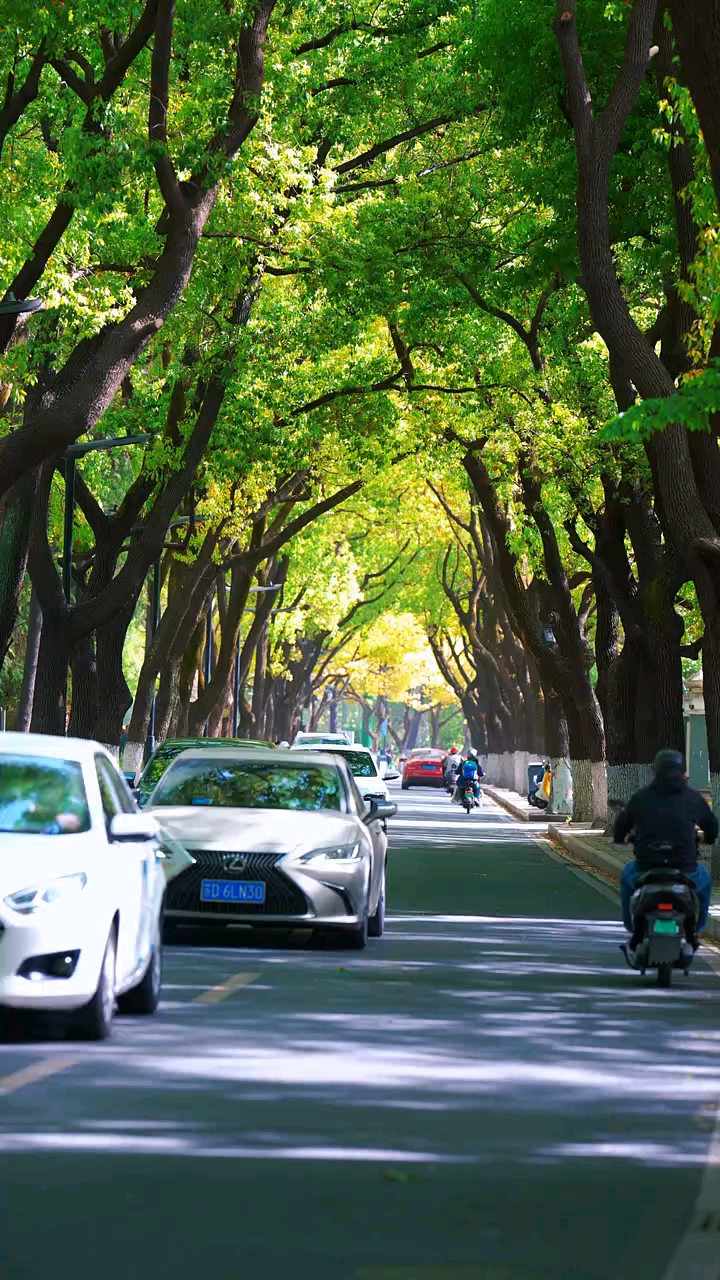 今天是1月9日，星期五，早安！初见少年拉满弓，不惧岁月不惧风！愿我们走过半生风雨，依旧怀揣这六样珍宝：健康的身体，干净的三观，稳定的情绪，翻篇的能力，挣钱的本事，还有那份像孩子般，对明天最虔诚的期待！