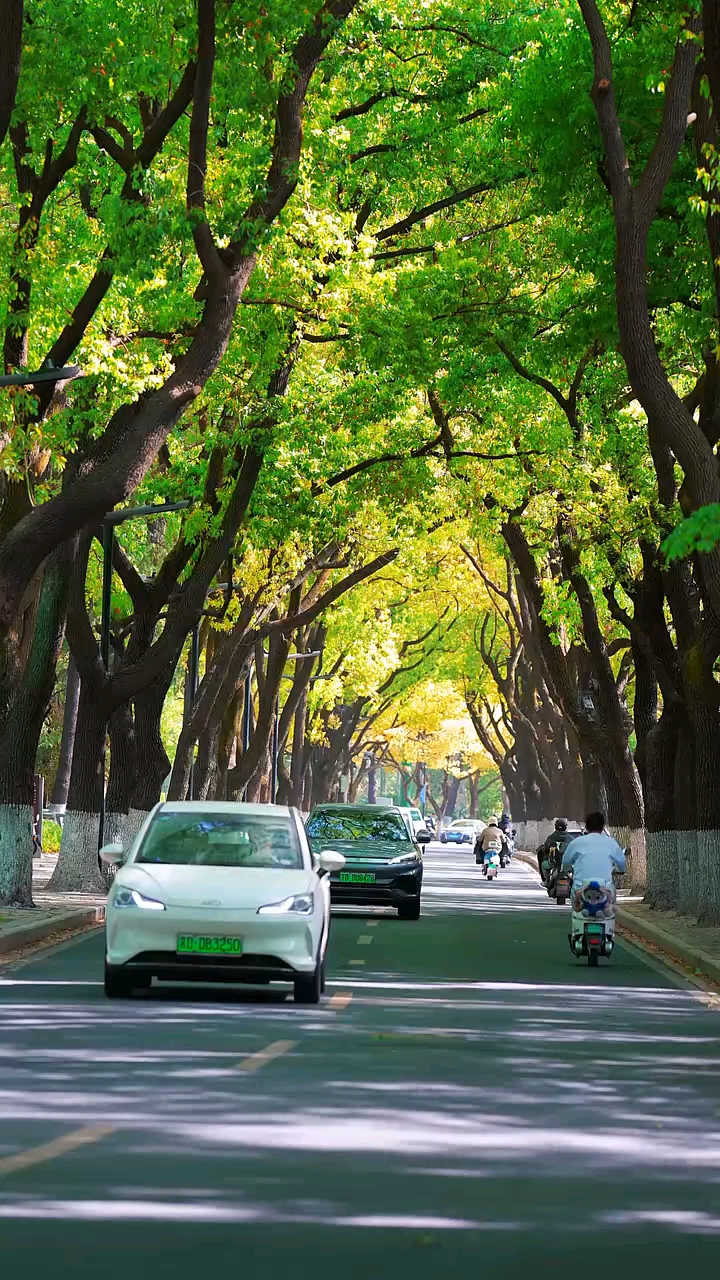 今天是1月10日，星期六，早安！人间烟火甚浪漫，满路荆棘已过半！生活不需要比别人过得好，但一定要比以前过得好。人生最幸福的事，不是活得像别人。 而是在努力之后， 活得更像自己！