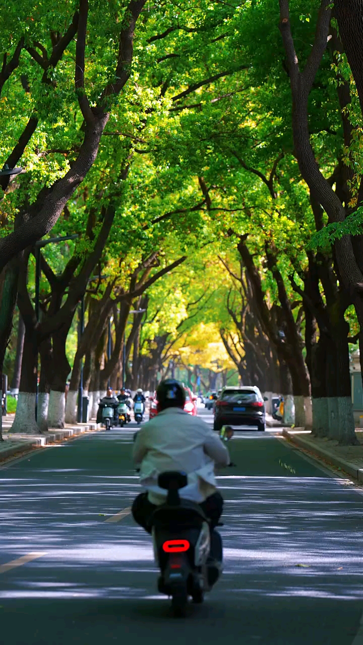 早安，我的朋友！今天是1月12日，星期一！抬头含笑问青天，何时我能享清闲；早观日出晚看霞，清茶小酒度流年！好好珍惜当下的每一刻。把每一天都过成喜欢的样子，就是最好的生活。