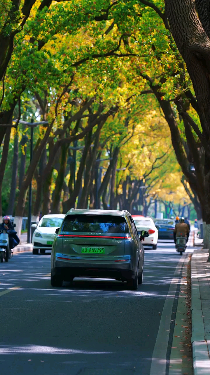 早安，我的朋友！今天是2月8日，星期日！距离过年还有八天！有人盼着团聚，有人为了休假，也有人怕过年。年像面镜子，照见父母衰老；也照见自己忙忙碌碌，却一事无成！过往皆序章，那就祝我们，来年越来越好！