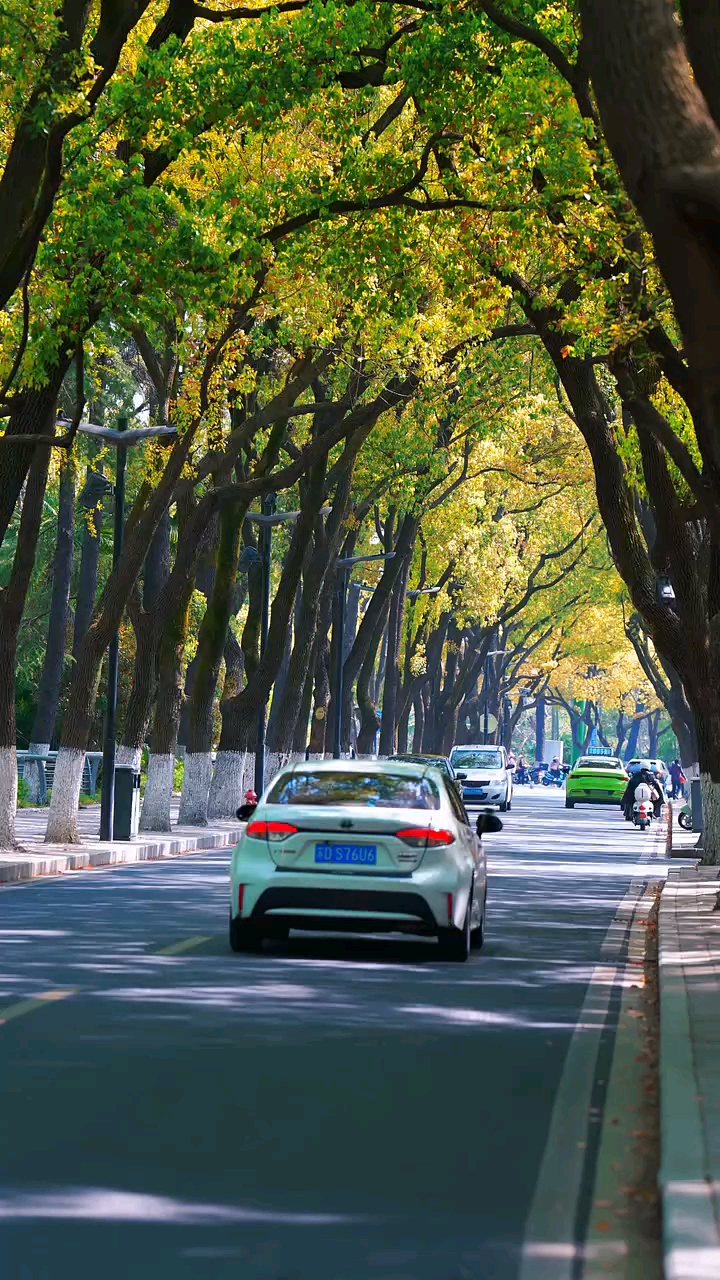 早安，我的朋友！今天是2月9日，星期一！我们总觉得过年没有年味了！其实年味一直都在，只是不再属于我们！当你接过父母的角色，挑起生活的重担时；孩子的快乐，家人的幸福，就是最浓的年味!