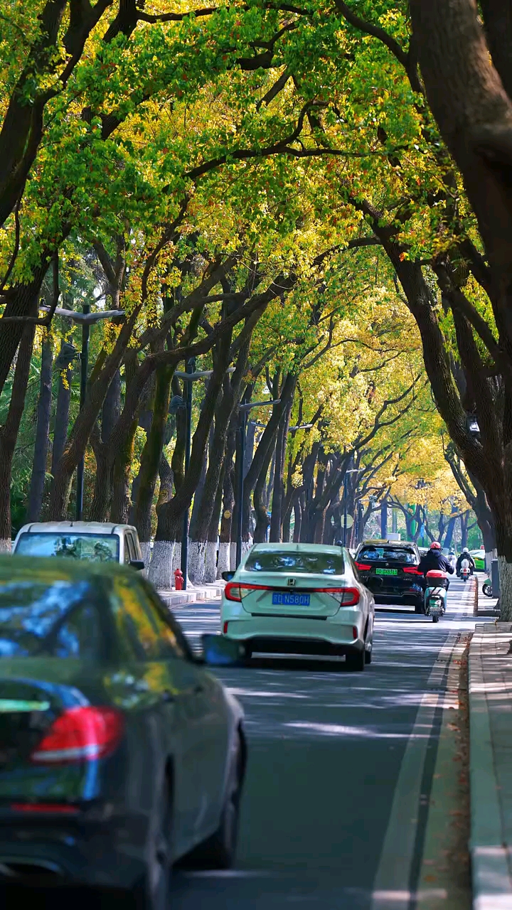 早安，我的朋友！今天是腊月二十三，北小年！小年至，年味浓，祭灶祈福，扫尘迎新，扫去一年的风尘与疲惫，迎接新年的平安与好运。愿新年，岁岁常欢愉，年年皆胜意。