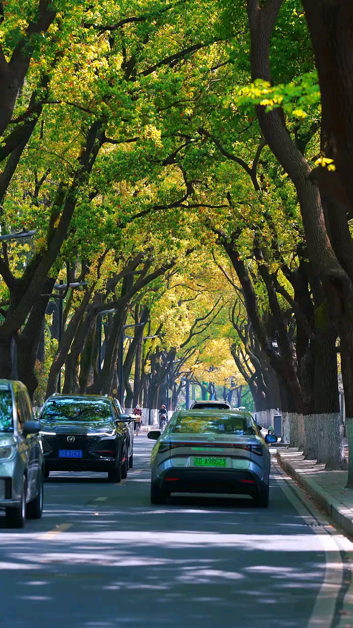 早安，我的朋友！今天是2月11日，星期三！今天是南方小年！南北小年同此乐，灶糖甜透万家心。携一身温暖，赴一场团圆。愿人间烟火，皆成欢喜，你我皆安