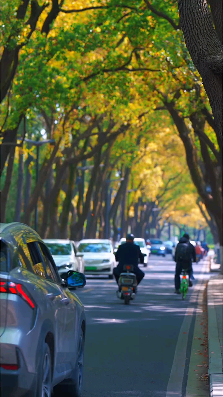 早安，我的朋友！今天是2月24日，星期二！正月初八，开门红；门迎百福 财源广，户纳千祥 事业兴。愿新的一年，财从八方来，运自四海至，开工大吉！