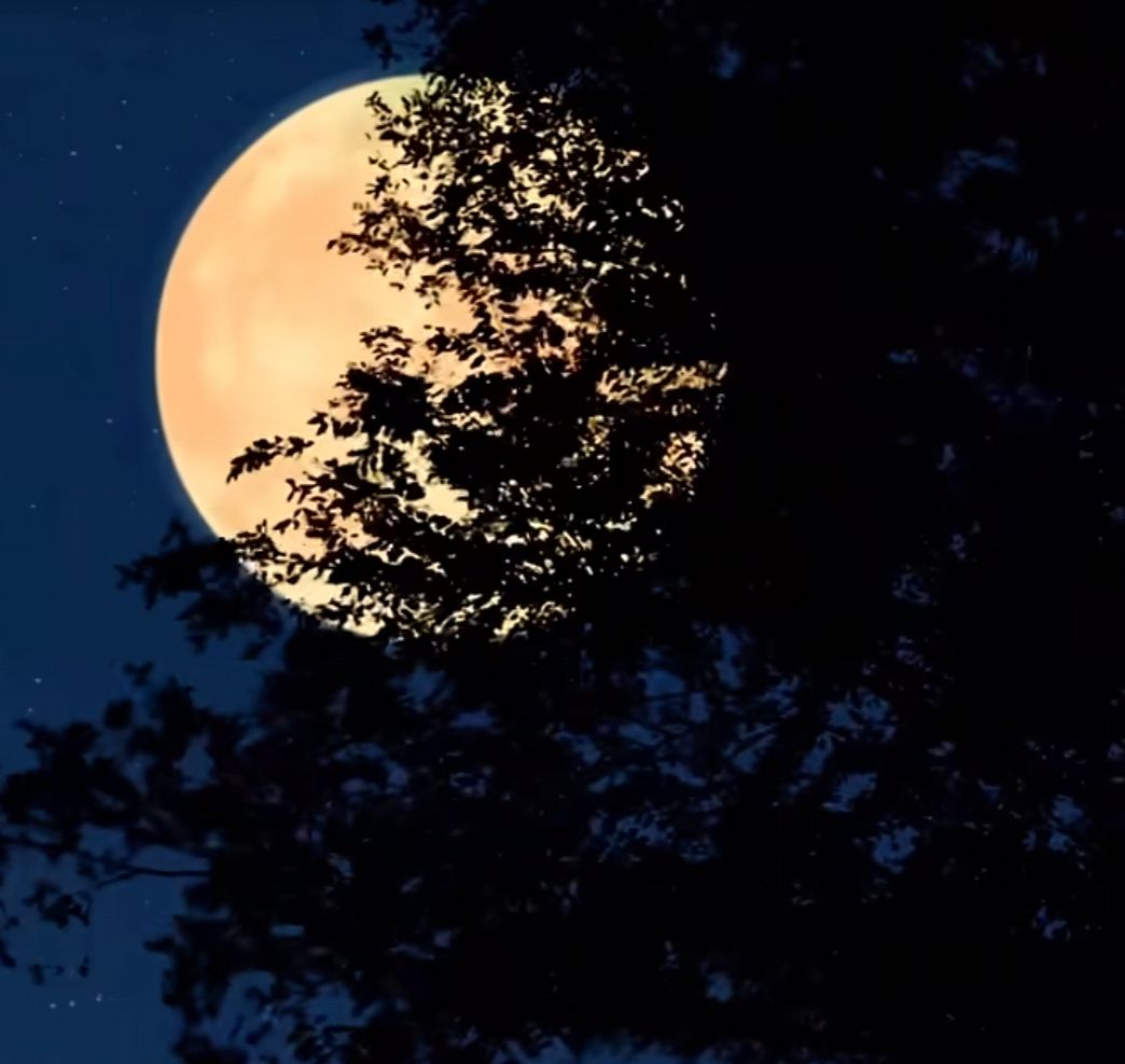 元宵节

元宵元宵
祸患全消