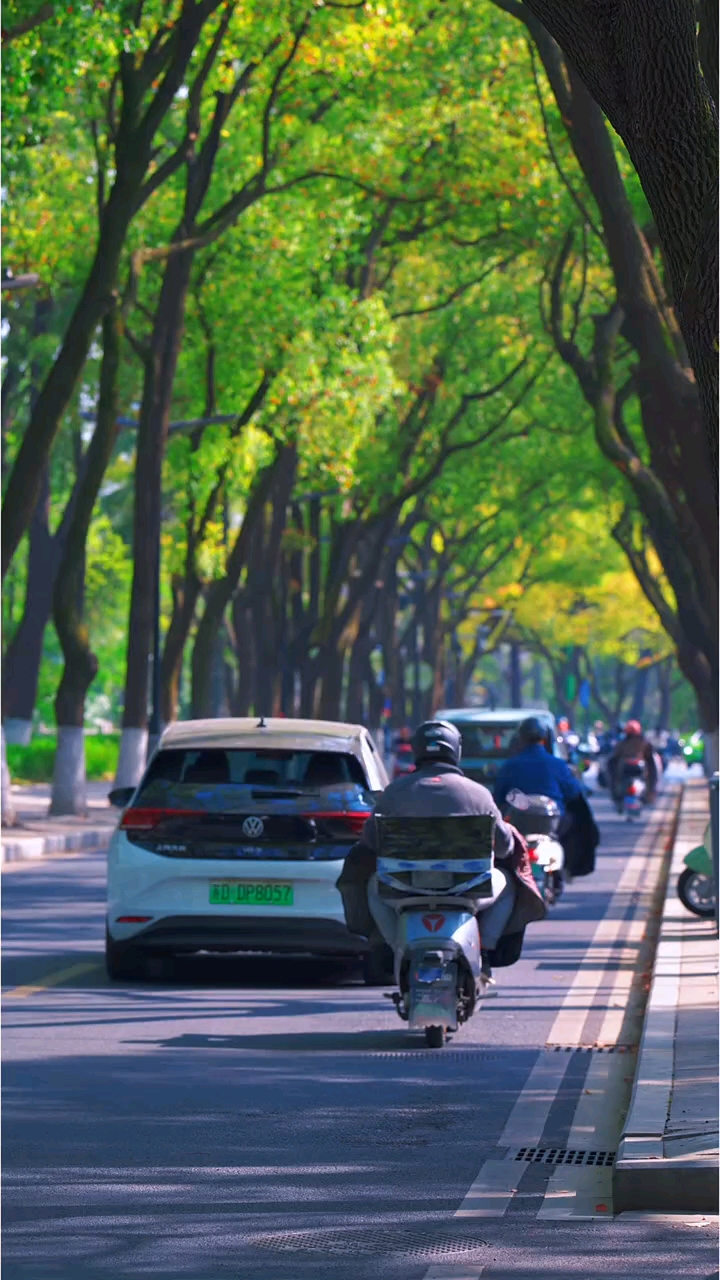 今天是3月4日，星期三，早安！过了十五，年就真的结束了。 昨夜花灯映故里，今朝长路向天涯。愿这一路，风有信，花有期；此去前程似锦，春暖花开！