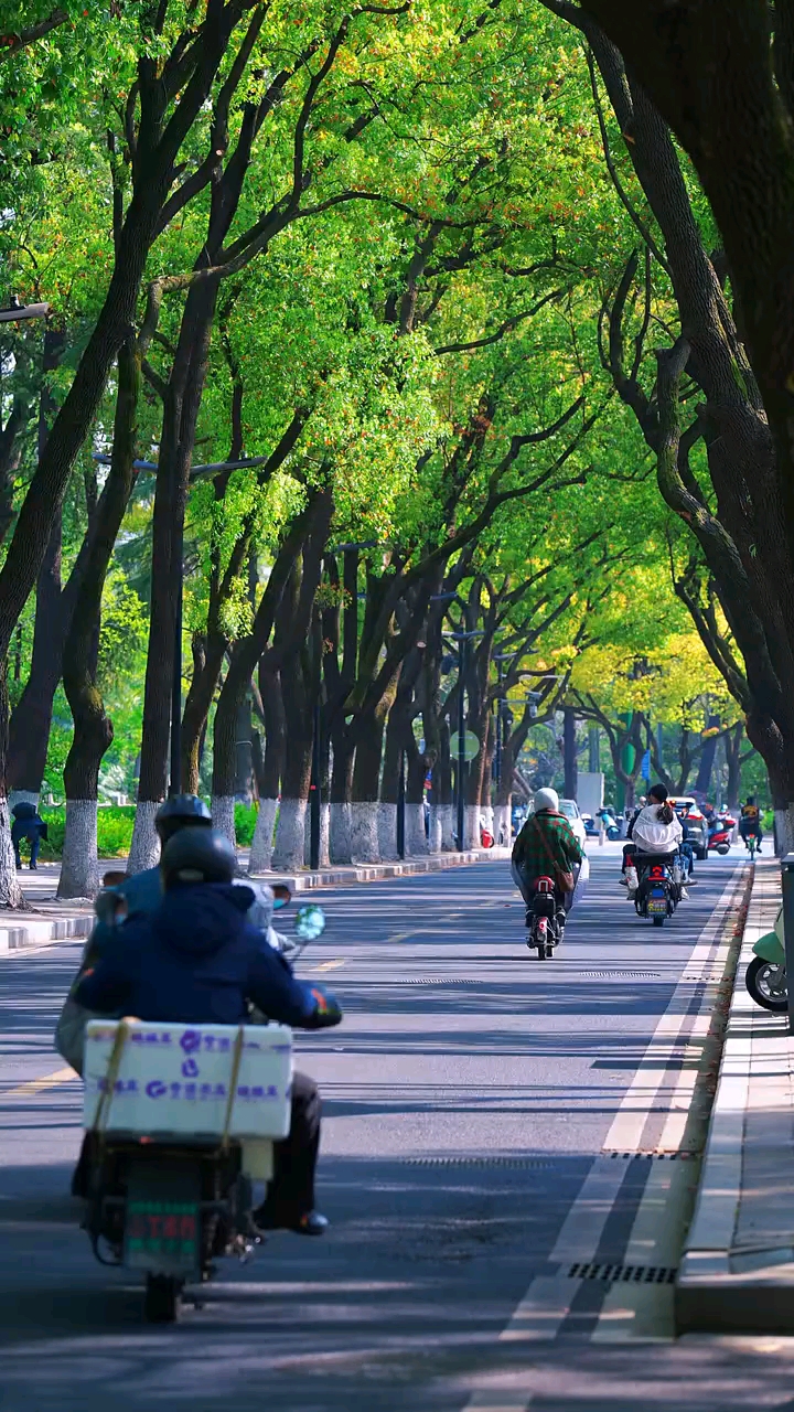 今天是3月5日，星期四，早安！惊蛰已至天地醒，雷动春归万物苏。雷起风云动，此时正当时。所有的蛰伏，都是为了此刻更好的开始！愿我们如惊雷一般；不鸣则已，一鸣惊人！