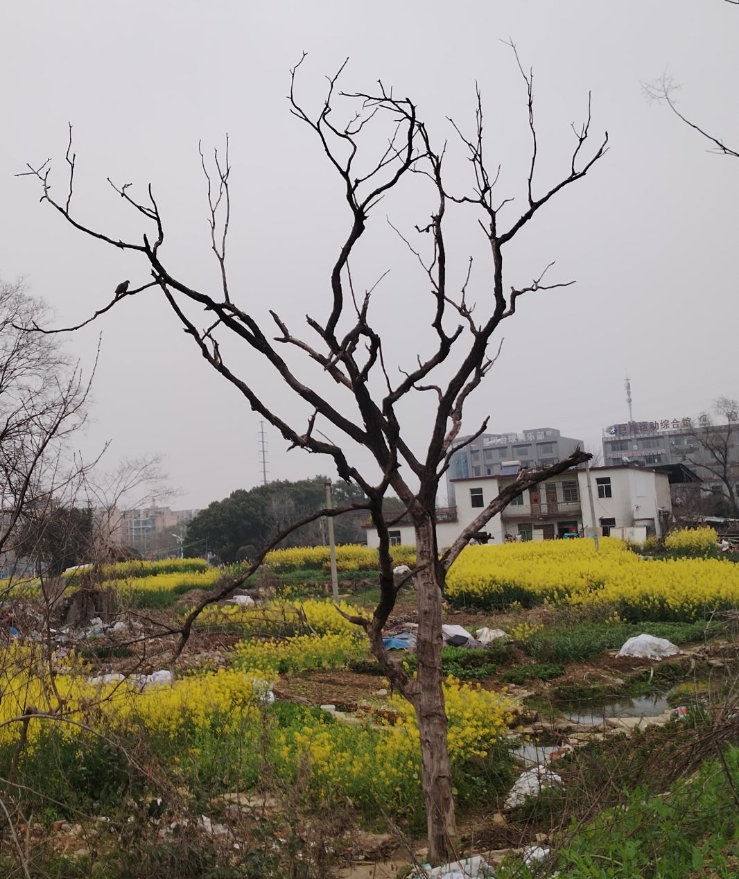 魅友們?cè)缟虾茫? class=