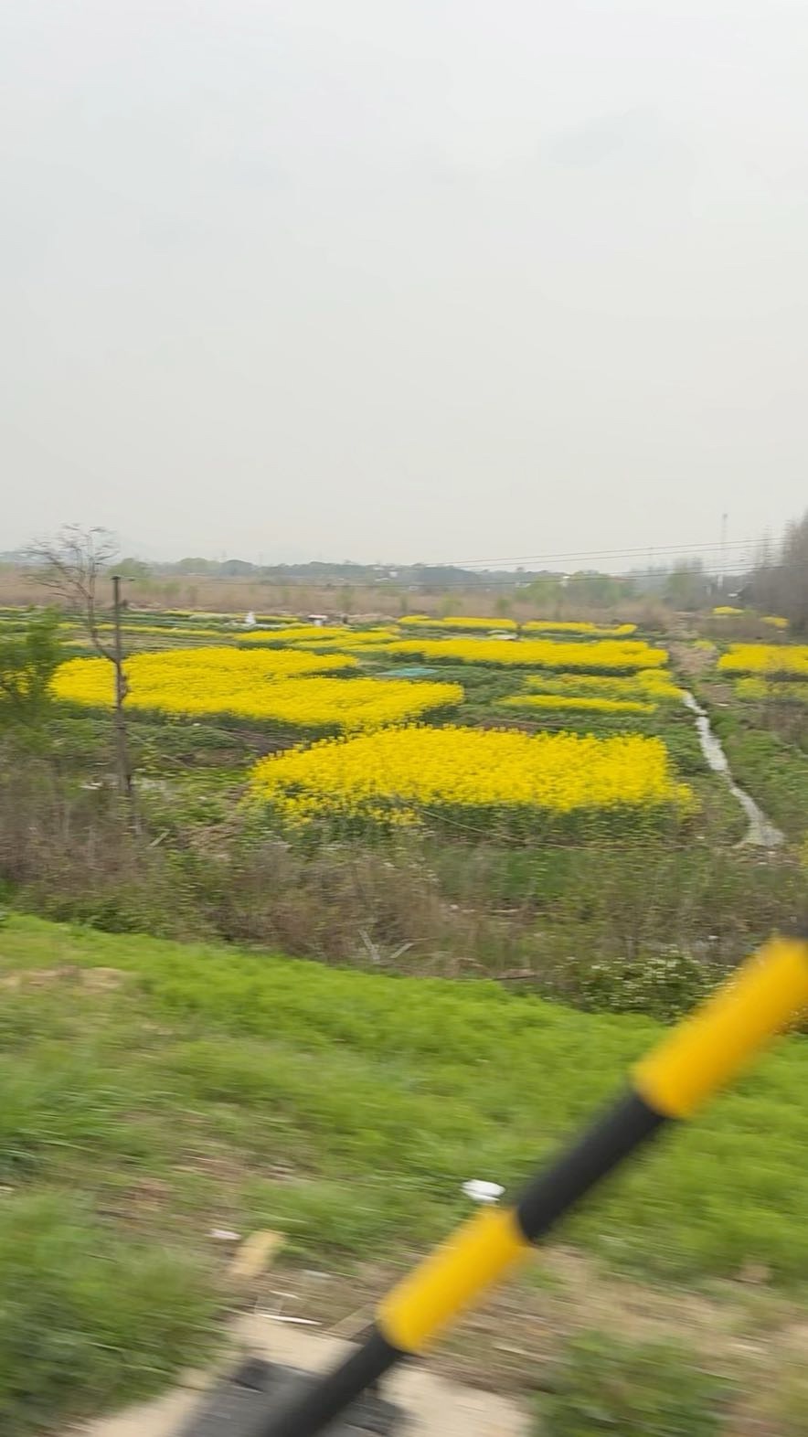 #魅力廬江APP魅友圈#