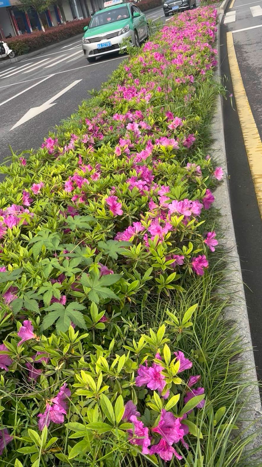 #魅力廬江APP魅友圈#