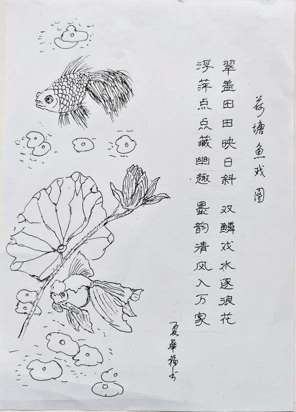 #魅力庐江APP魅友圈#