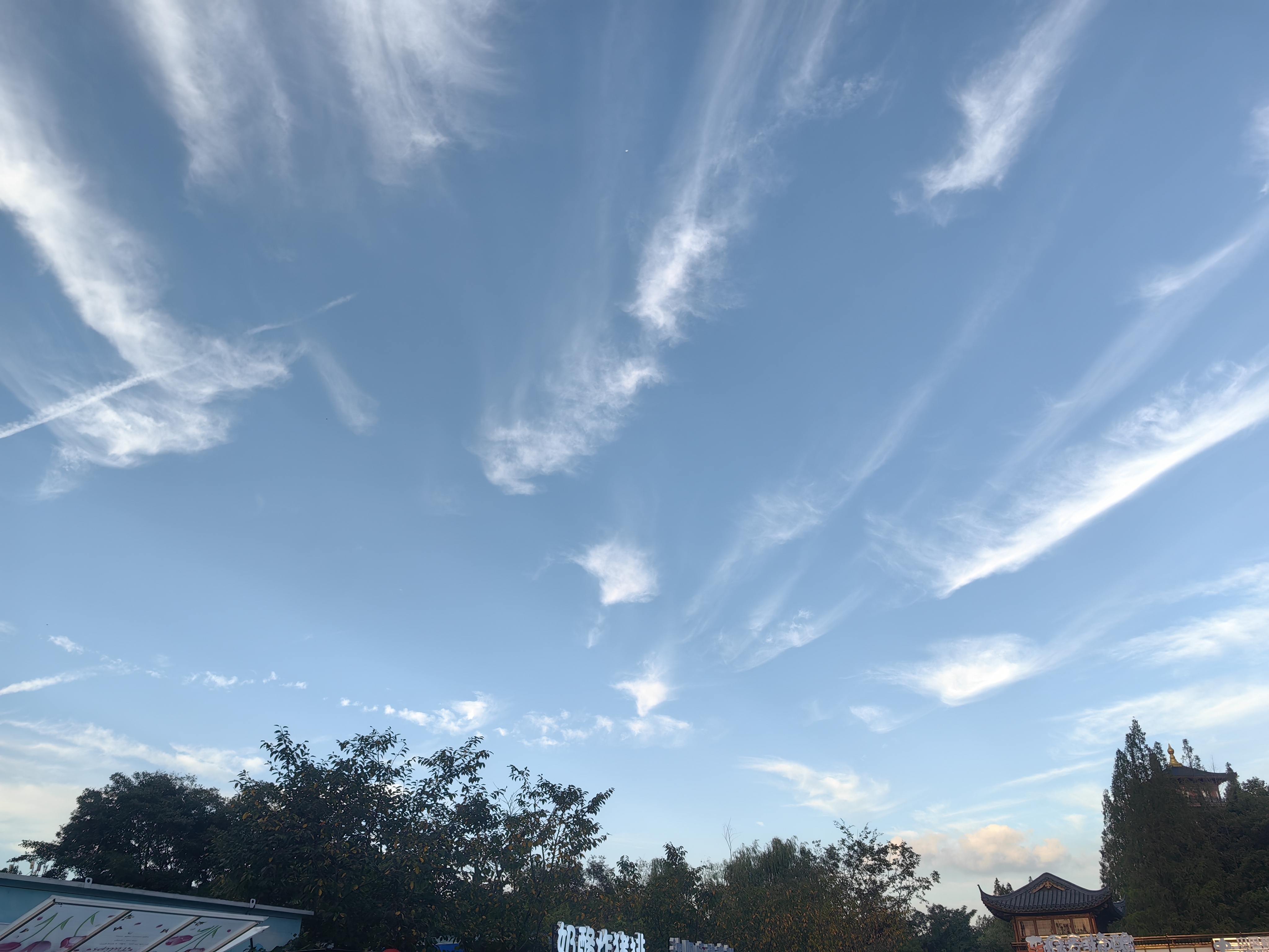 早上好